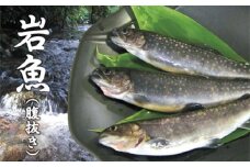 NI21205	西塚農場産 岩魚冷凍10尾(腹抜き)
