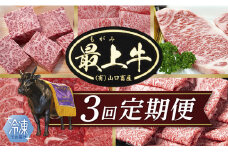  【冷凍】【3回配送で全5種】特選最上牛3回定期便