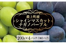 【予約返礼品】最上町産【シャインマスカット＆ナガノパープル】各200g×2P
