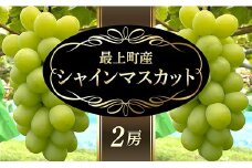 【予約返礼品】最上町産【シャインマスカット】２房