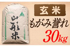 【令和7年産】【玄米】山形県産 もがみ誉れ 30kg