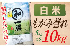 【令和7年産】【白米】山形県産もがみ誉れ10kg