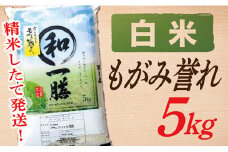 【令和7年産】【白米】山形県産もがみ誉れ5kg