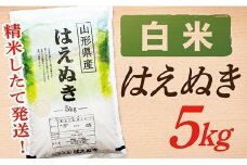 【令和7年産】【白米】山形県産はえぬき5kg