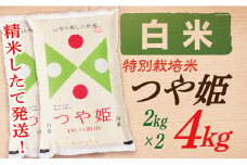 【令和7年産】【白米】山形県産つや姫4kg(2kg×2袋)