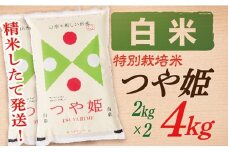 【令和7年産】【白米】山形県産つや姫4kg(2kg×2袋)