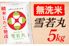 【令和7年産】【無洗米】山形県産雪若丸5kg