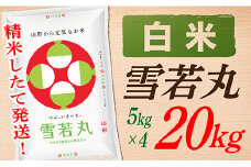 【令和7年産】【白米】山形県産雪若丸20kg