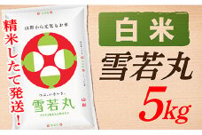【令和7年産】【白米】山形県産雪若丸5kg