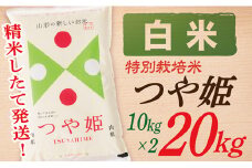 【令和7年産】【白米】山形県産つや姫20kg(10kg×2袋)