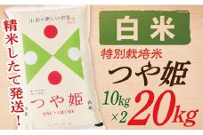 【令和7年産】【白米】山形県産つや姫20kg(10kg×2袋)