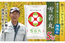 令和7年産 【無洗米】最上町産 ホタル米雪若丸5kg×1袋