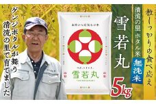 令和7年産 【無洗米】最上町産 ホタル米雪若丸5kg×1袋