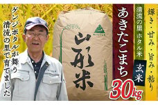 令和7年産【玄米】最上町産 ホタル米あきたこまち30kg×1袋