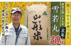 令和7年産【玄米】最上町産 ホタル米雪若丸30kg×1袋