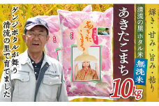 令和7年産 【無洗米】最上町産 あきたこまち 10kg (5kg×2袋)