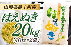 令和7年産　山形県産 はえぬき 20㎏ (10㎏×2袋)