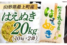令和7年産　山形県産 はえぬき 20㎏ (10㎏×2袋)