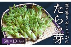 【季節商品】最上町産たらの芽