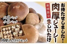  農林水産大臣賞受賞 【期間限定】肉厚しいたけセット