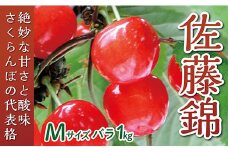 【令和7年産予約】さくらんぼ「佐藤錦」Mサイズ バラ1kg