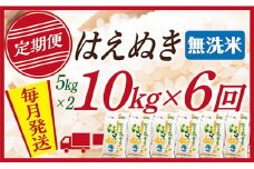 【定期便】【無洗米】令和7年産 山形県産 はえぬき 10kg (5kg×2)  6回配送【初回R8年1月発送】