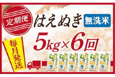 【定期便】【無洗米】令和7年産 山形県産 はえぬき 5kg (5kg×1)  6回配送　【初回R8年1月発送】