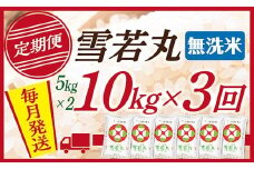 【定期便】【無洗米】 令和7年産 山形県産 雪若丸 10kg (5kg×2)  3回配送