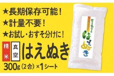 【配送先寄附者様限定】山形県産 はえぬき 真空パック 2合 1シート