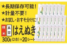 山形県産 はえぬき 真空パック 2合 20シート