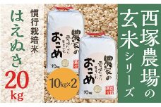 【令和7年産予約】慣行栽培米 はえぬき 玄米 20kg(10kg×2)	