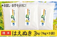 令和6年産  山形県産 はえぬき 3kg