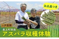 【体験型】山形県 最上町 二戸農園 アスパラ 収穫体験 ＆ 朝採り アスパラ 700g お土産付き プラン