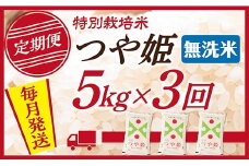 【定期便】【無洗米】 令和7年産 山形県産 つや姫 5kg (5kg×1)  3回配送