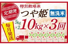 【定期便】【無洗米】 令和7年産 山形県産 つや姫 10kg (5kg×2)  3回配送