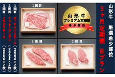【山形牛　３か月定期便】希少部位プレミアム定期便　Bプラン