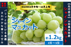 シャインマスカット約1.2kg（2～3房）数量限定　2025年先行予約