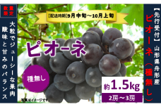 ピオーネ約1.5kg（2～3房）数量限定　2025年先行予約