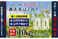 11月上旬発送【先行予約】令和7年産　無洗米はえぬき10kg（5kg×2袋）10月～12月発送