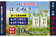1月下旬発送【先行予約】令和7年産　精米はえぬき10kg（5kg×2袋）1月～3月発送