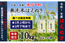 3月中旬発送【先行予約】令和7年産　無洗米はえぬき10kg（5kg×2袋）1月～3月発送