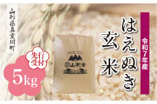 ＜令和7年産米先行受付＞ 真室川町産 はえぬき 【玄米】 5kg （5kg×1袋）＜配送時期指定可＞