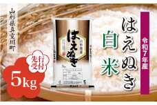 ＜令和7年産米先行受付＞ 真室川町産 はえぬき 【白米】 5kg （5kg×1袋）＜配送時期指定可＞