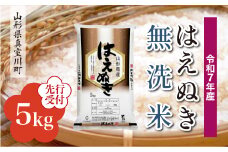 ＜令和7年産米先行受付＞ 真室川町産 はえぬき 【無洗米】5kg （5kg×1袋）＜配送時期指定可＞