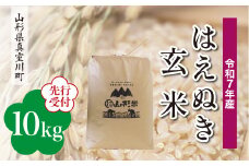 ＜令和7年産米先行受付＞ 真室川町産 はえぬき 【玄米】 10kg （10kg×1袋）＜配送時期指定可＞