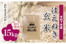 ＜令和7年産米先行受付＞ 真室川町産 はえぬき 【玄米】 15kg （15kg×1袋）＜配送時期指定可＞