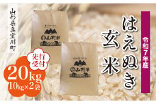 ＜令和7年産米先行受付＞ 真室川町産 はえぬき 【玄米】 20kg （10kg×2袋）＜配送時期指定可＞