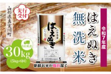 ＜令和7年産米先行受付＞ 真室川町産 はえぬき 【無洗米】 定期便 30kg （5kg×1ヶ月間隔で6回お届け）＜配送時期指定可＞
