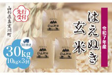 ＜令和7年産米先行受付＞ 真室川町産 はえぬき 【玄米】 30kg定期便 （10kg×3回発送）＜配送時期指定可＞