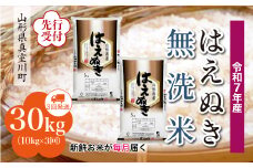 ＜令和7年産米先行受付＞ 真室川町産 はえぬき 【無洗米】 定期便 30kg （10kg×1ヶ月間隔で3回お届け）＜配送時期指定可＞
